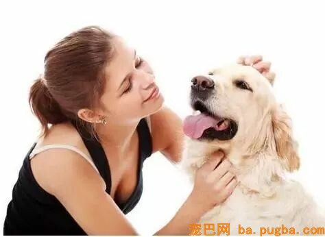 狗狗护食行为太可怕，几招轻松改掉！-3.jpeg
