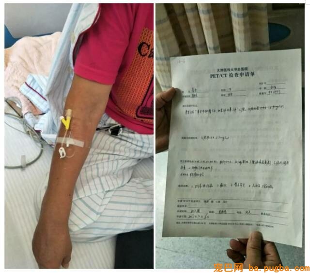 她曾身价百万，却因救助漂泊狗散尽家产，如今沉只能求人！-1.jpeg