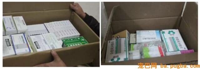 她曾身价百万，却因救助漂泊狗散尽家产，如今沉只能求人！-13.jpeg