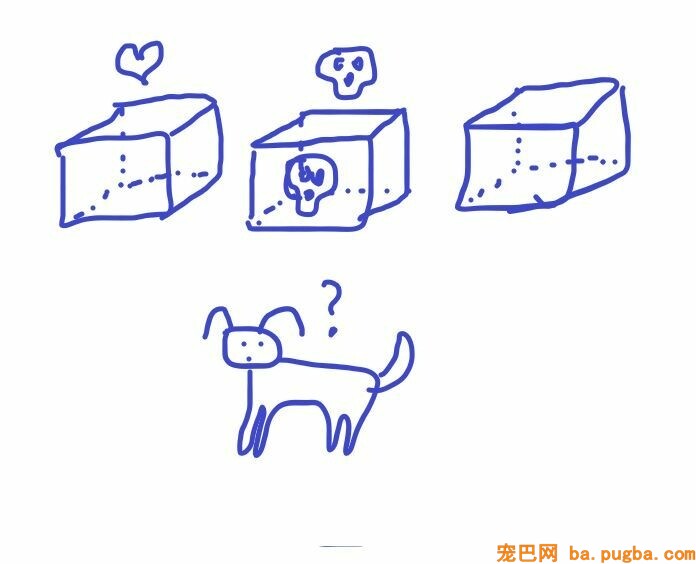 狗狗犯错屡教不改？那是你早就中了它的圈套！-2.jpeg