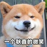 狗狗犯错屡教不改？那是你早就中了它的圈套！-1.jpeg