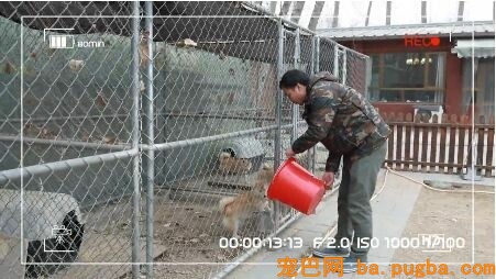 独家（视频）| 繁衍者路在何方？-2.jpeg