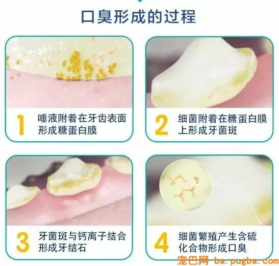 金毛突然不吃不喝，竟是因为主人忽略了这件事！-10.jpeg