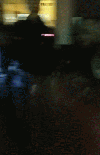 偷狗贼被村民抓到后暴打并当众游街，网友：处置方式非常人道！-16.gif