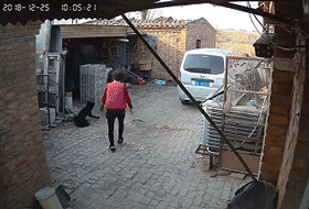 偷狗贼被村民抓到后暴打并当众游街，网友：处置方式非常人道！-18.gif