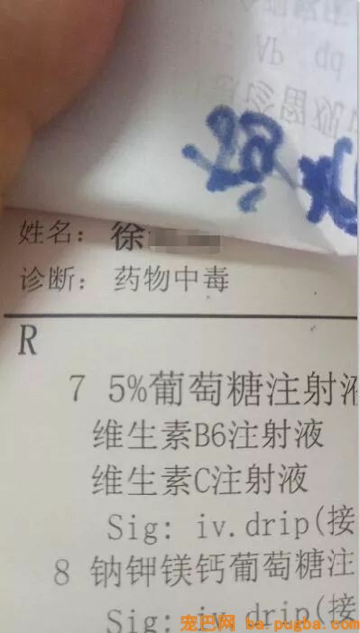 偷狗贼被村民抓到后暴打并当众游街，网友：处置方式非常人道！-20.jpeg