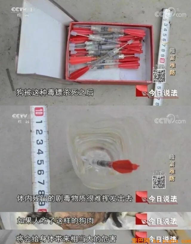 偷狗贼被村民抓到后暴打并当众游街，网友：处置方式非常人道！-21.jpeg