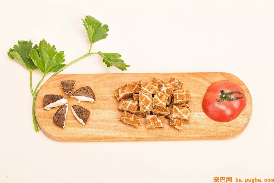 宠物猫零食能够吃什么-3.jpeg