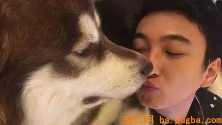 全世界最土豪的五只狗，王思聪的只能垫底-1.jpeg