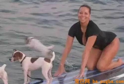 全世界最土豪的五只狗，王思聪的只能垫底-5.jpeg