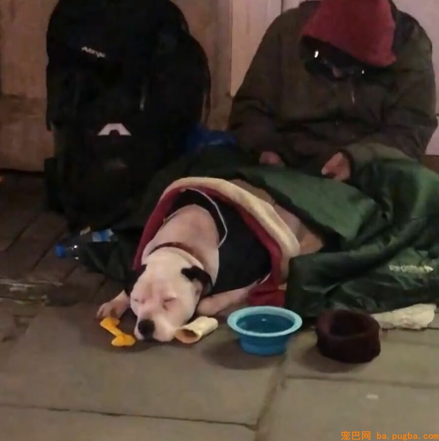 交不起房租流落街头，可不仅没抛弃狗狗，反而...-1.jpeg