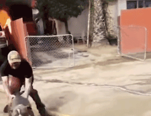 狗狗被困大火生死未卜，主人第一时间冲进火海：它是我的家人！-4.gif