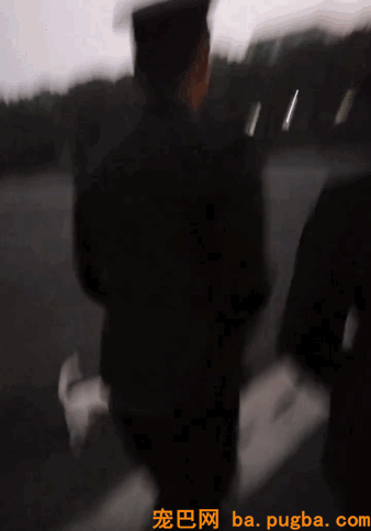 很多人都嫉妒这只漂泊狗，因为一群兵哥哥都爱着它！-4.gif