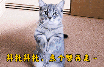 很多人都嫉妒这只漂泊狗，因为一群兵哥哥都爱着它！-6.gif