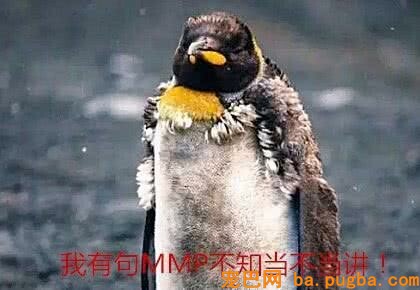 袋鼠爱上猪，动物界的禁断之爱，几乎太出色-2.jpeg