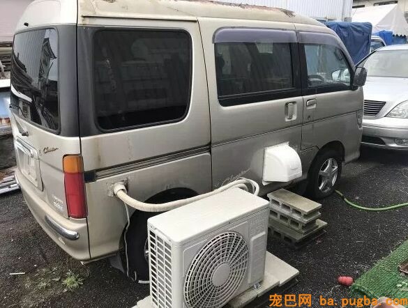 正能量！男子花高价给报废车装空调，竟然是为了这些小生命们！-2.jpeg