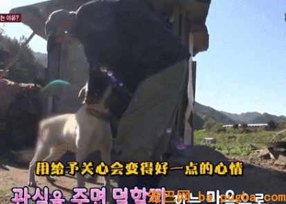狗狗转着圈咬破了本人的尾巴，原因竟是主人忽略了这件小事……-5.gif
