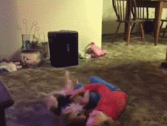 要不要养一只眼里只要你的傻狗？-10.gif
