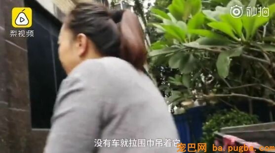 十年老狗瘫痪，主人便宜小推车助它奔跑，主人：轮到我赐顾帮衬它了…-7.jpeg