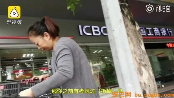 十年老狗瘫痪，主人便宜小推车助它奔跑，主人：轮到我赐顾帮衬它了…-12.jpeg