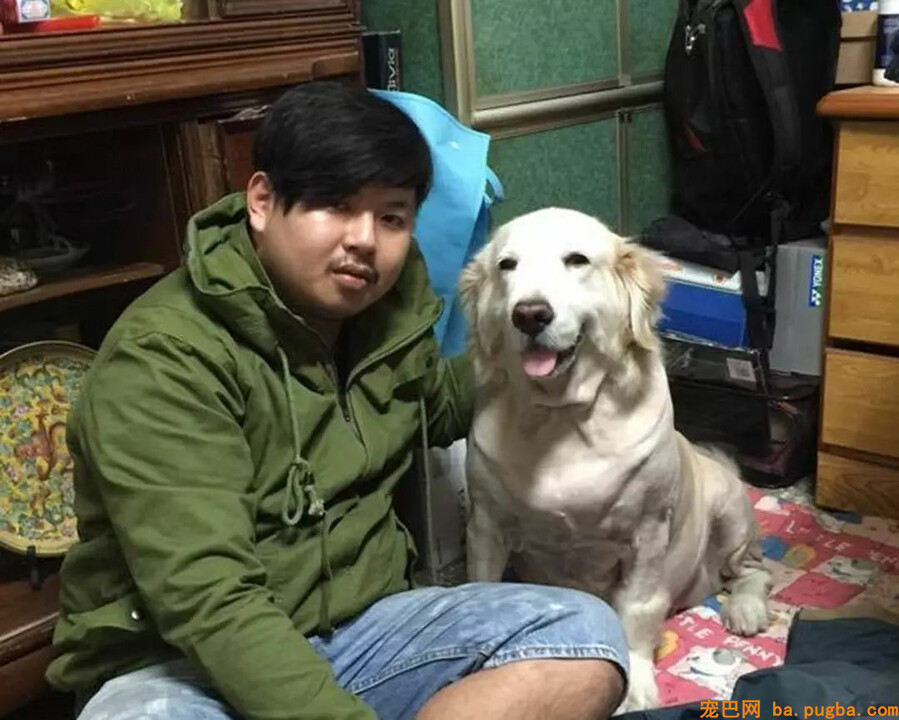 本来狗狗分开后，真的会以另一种方式回来...-1.jpg