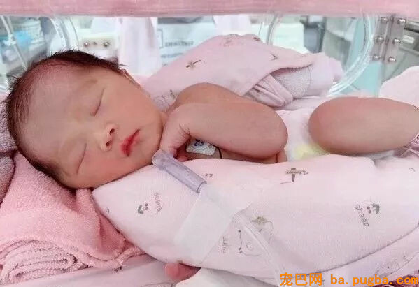 本来狗狗分开后，真的会以另一种方式回来...-14.jpg