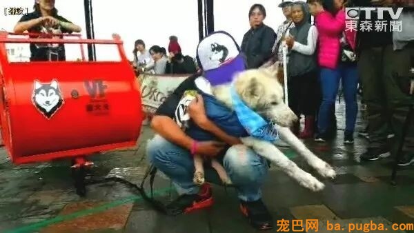 和狗狗约定要投胎回来，等女儿出生时，她看了一眼就哭了...-10.jpeg