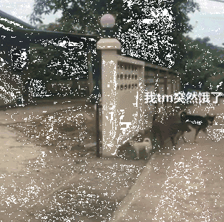 两只狗打架，告诉你什么叫“能吵吵就不动手”！-3.gif