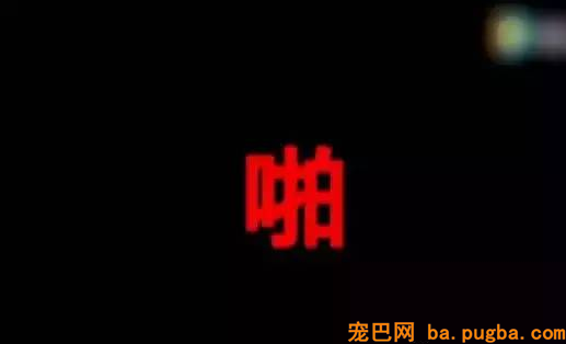 两只狗打架，告诉你什么叫“能吵吵就不动手”！-11.png