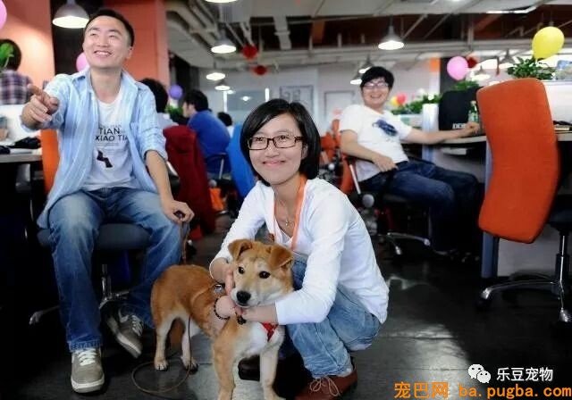 这是一家工作效率极高的公司，因为老板允许员工带宠物上班！-1.jpeg