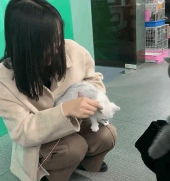 这是一家工作效率极高的公司，因为老板允许员工带宠物上班！-5.jpeg