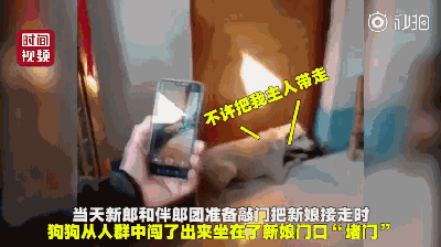新郎去接亲，却被一条狗堵住了新娘的门：不准带走我小主人！-3.gif