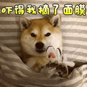 记忆力几乎为零的老狗，唯独不忘这件事...-5.gif