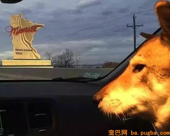 狗狗不幸患上癌症，市长主人做这事打动全城！-5.jpeg