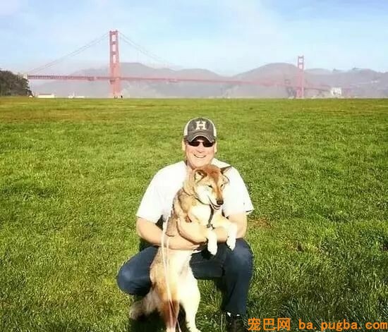 狗狗不幸患上癌症，市长主人做这事打动全城！-7.jpeg