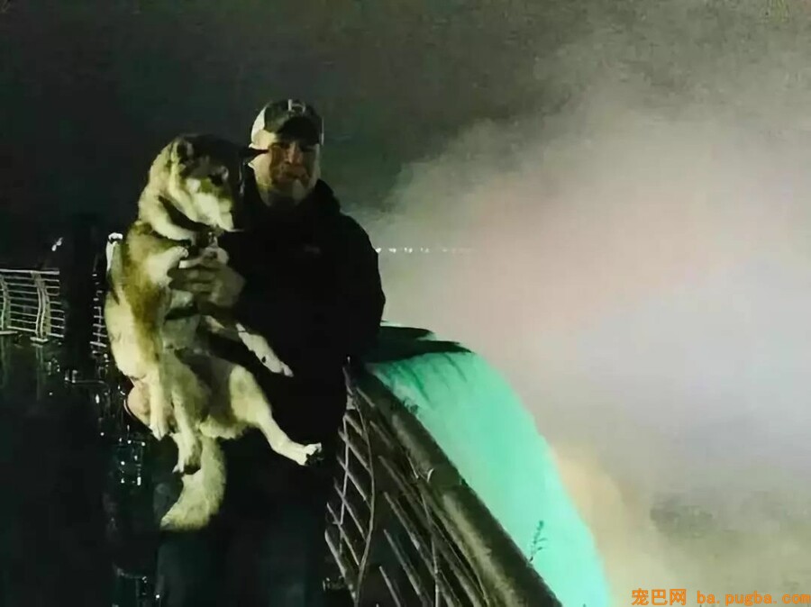 狗狗不幸患上癌症，市长主人做这事打动全城！-9.jpeg