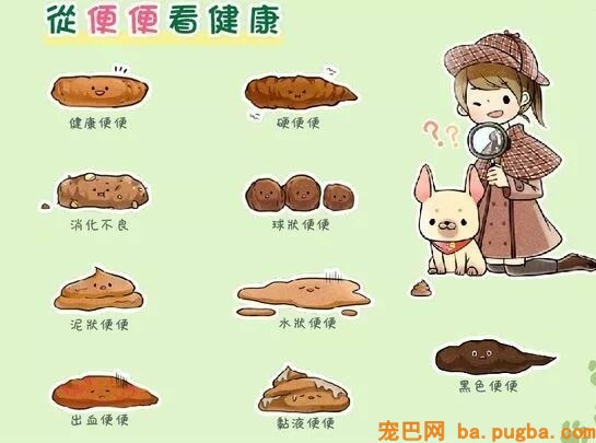 您的爱犬到底该喂多少？-10.jpeg