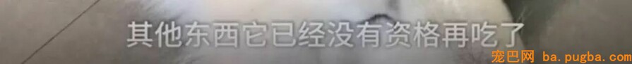 让爷爷奶奶辅佐养狗，成果把狗狗养进了病院...-7.jpeg