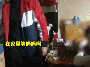 女嫌犯被养了九年的泰迪大义灭亲：“她在这呢......”-3.gif