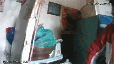 女嫌犯被养了九年的泰迪大义灭亲：“她在这呢......”-1.gif