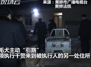 女嫌犯被养了九年的泰迪大义灭亲：“她在这呢......”-5.gif