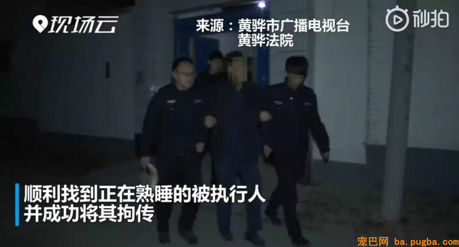 女嫌犯被养了九年的泰迪大义灭亲：“她在这呢......”-6.jpg