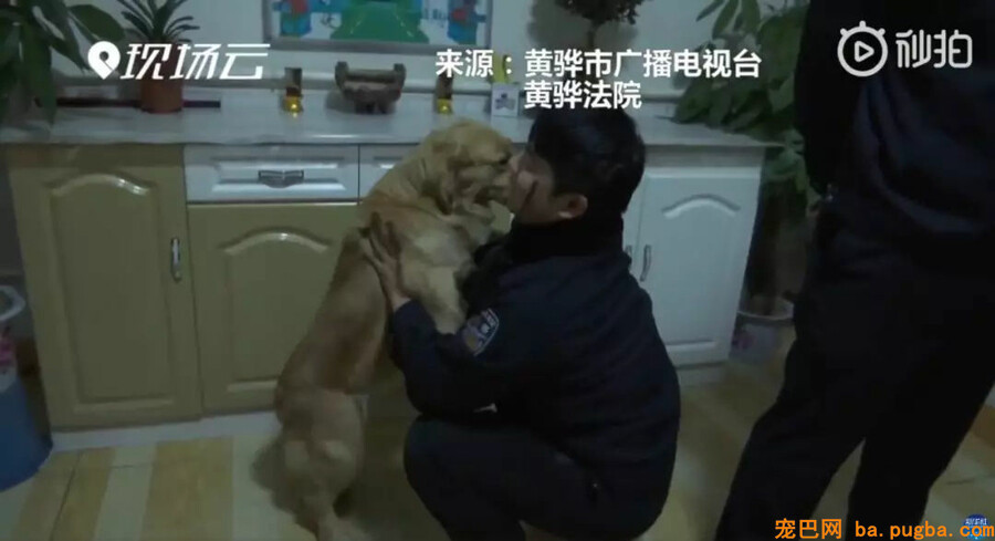 女嫌犯被养了九年的泰迪大义灭亲：“她在这呢......”-4.jpg