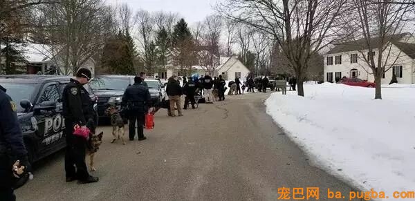 40只警犬的特殊任务：满足一个七岁孩子的愿望！-1.jpeg