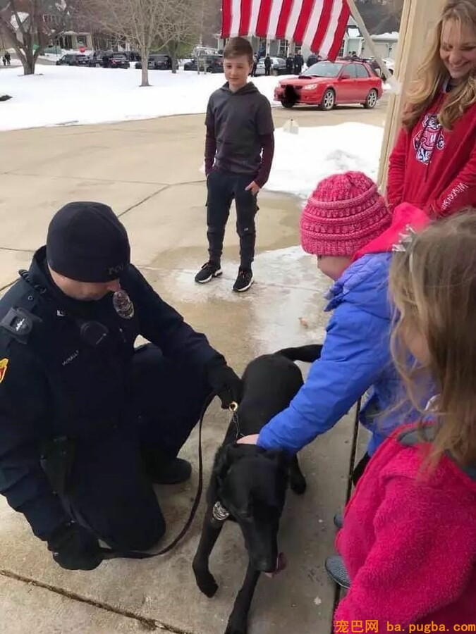40只警犬的特殊任务：满足一个七岁孩子的愿望！-5.jpeg