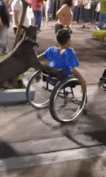 40只警犬的特殊任务：满足一个七岁孩子的愿望！-7.gif