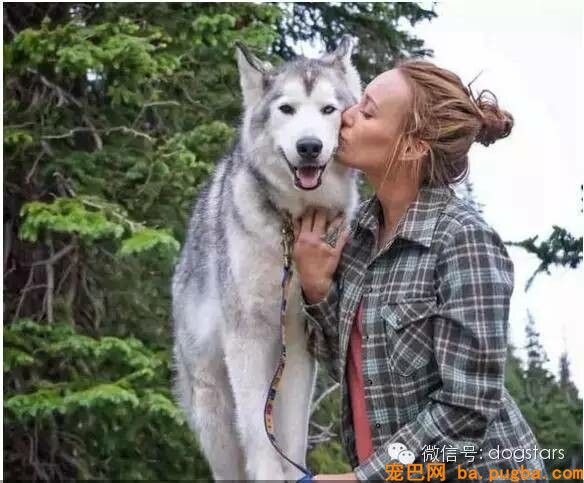 为什么狗寿命只要十几年？知道它们短命的原因后，难过得说不出话-5.jpeg