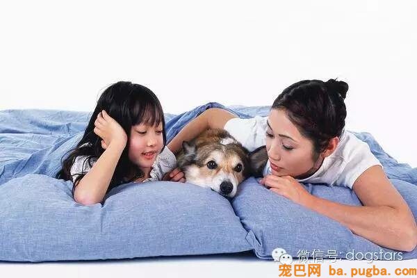 为什么狗寿命只要十几年？知道它们短命的原因后，难过得说不出话-8.jpeg