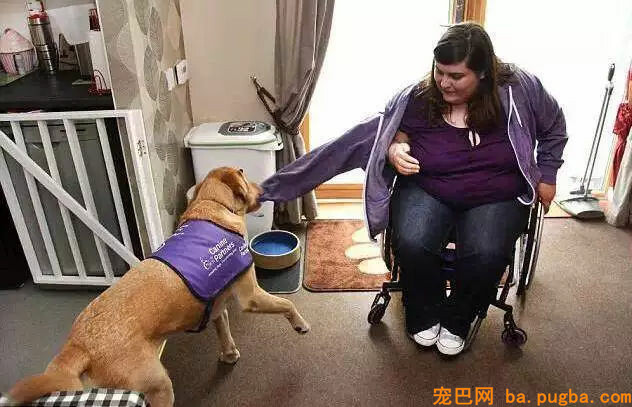 本来除了导盲，狗狗还能为人做到这种程度！-3.jpg