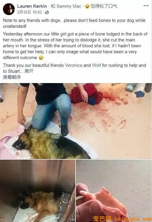 偷舔鸭肉酱汁后，狗狗不幸身亡，主人含泪告诫...-7.jpeg